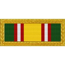 Tennessee National Guard Volunteer Recruiting & Retention Unit Citation with Large Gold Frame